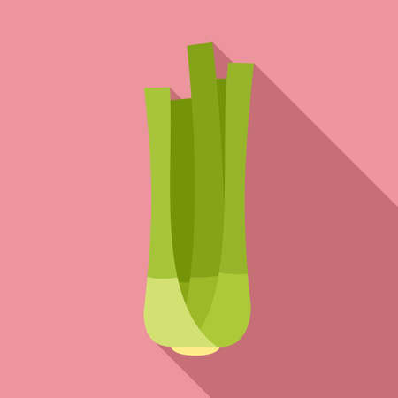 Fresh celery icon, flat styleの写真素材