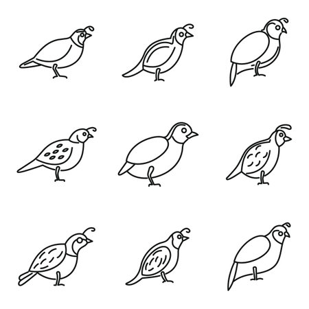 Quail bird icons set, outline styleのイラスト素材