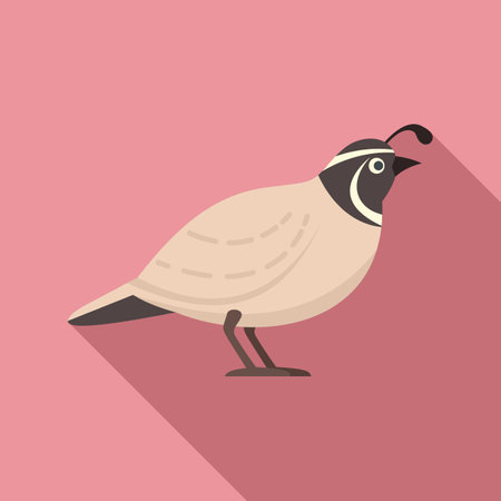 Quail adorable icon, flat styleのイラスト素材
