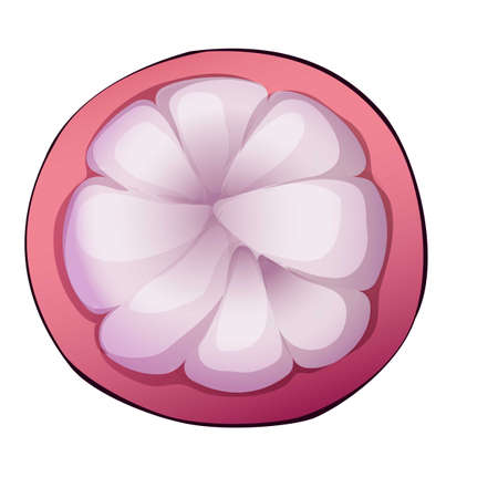Half mangosteen icon, cartoon styleのイラスト素材