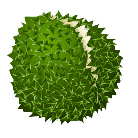 Durian ripe icon, cartoon styleのイラスト素材