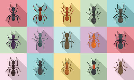 Ant icons set, flat styleのイラスト素材
