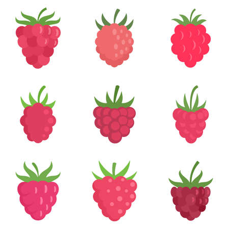 Raspberry icons set flat vector isolatedのイラスト素材