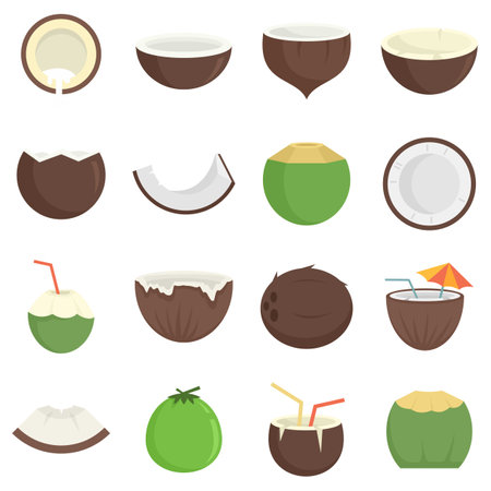 Coconut icons set flat vector isolatedのイラスト素材