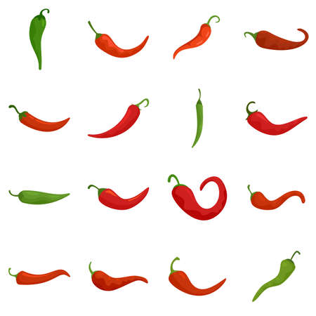 Chili icons set flat vector isolatedのイラスト素材