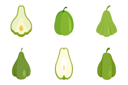 Chayote icons set flat vector isolatedのイラスト素材
