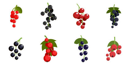 Currant berry icons set flat vector isolatedのイラスト素材