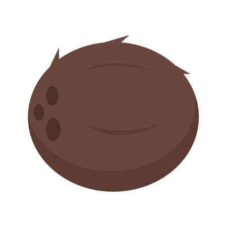 Whole coconut icon flat isolated vectorのイラスト素材