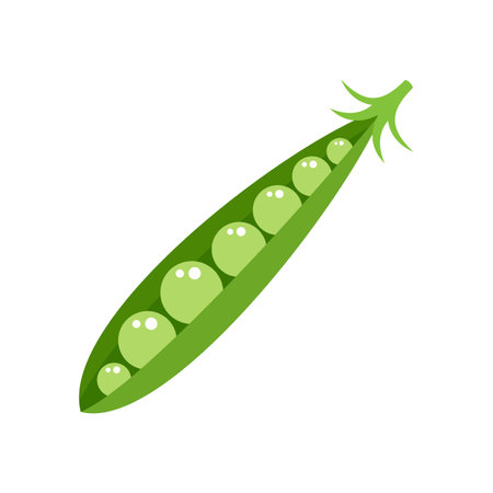 Peas icon flat isolated vectorのイラスト素材