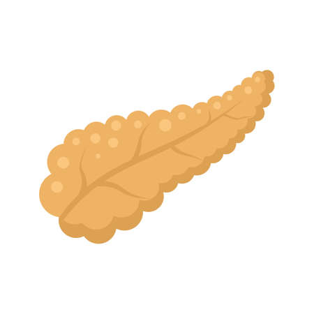 Diabetes pancreas ill icon flat isolated vectorのイラスト素材