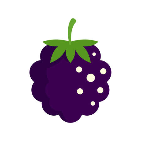 Food blackberry icon flat isolated vectorのイラスト素材