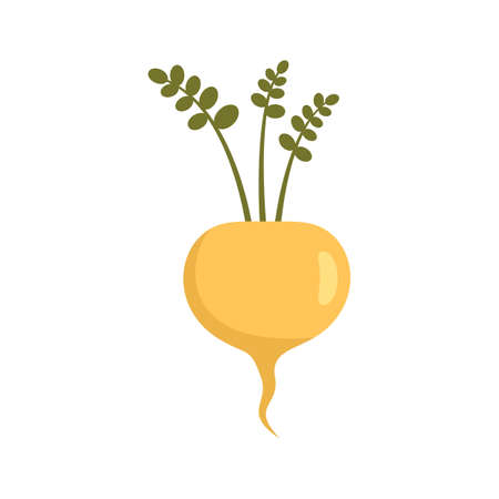 White radish icon flat isolated vectorのイラスト素材