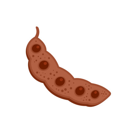 Superfood carob icon flat isolated vectorのイラスト素材