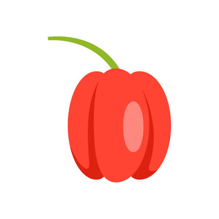 Fresh paprika icon flat isolated vectorのイラスト素材
