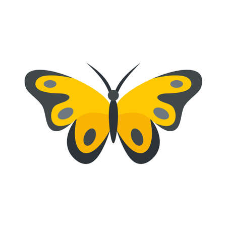 Spring butterfly icon flat isolated vectorのイラスト素材