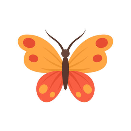 Botanical butterfly icon flat isolated vectorのイラスト素材