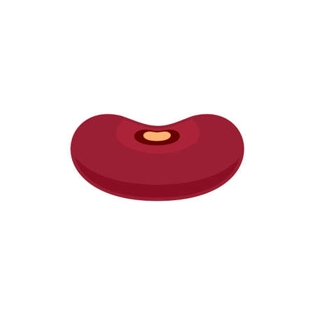 Pinto kidney bean icon flat isolated vector