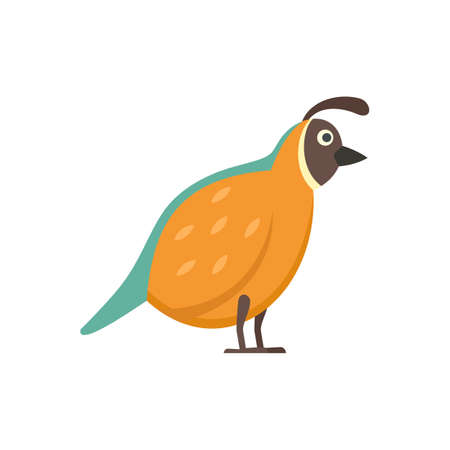 Quail fauna icon flat isolated vectorのイラスト素材