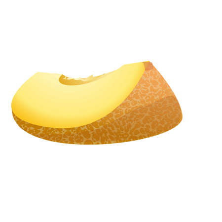 Melon slice icon cartoon vector. Oriental cutのイラスト素材