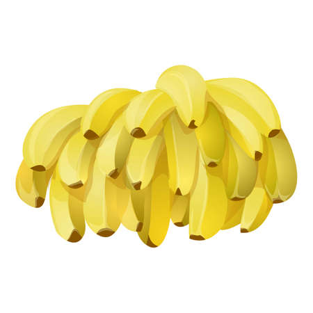 Farm bananas icon cartoon vector. Healthy dessertのイラスト素材