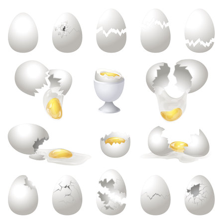 Eggshell icons set cartoon vector. Broken eggのイラスト素材