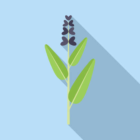 Sage flower icon flat vector. Herb plantのイラスト素材