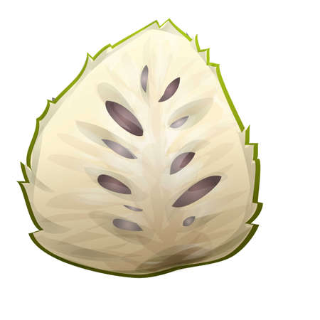 Fresh durian icon cartoon vector. Soursop annona