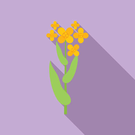 Canola field plant icon flat vector. Oil flower. Rape mustardのイラスト素材