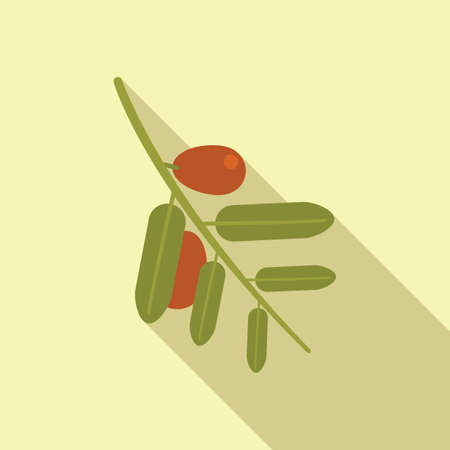 Jojoba branch icon flat vector. Oil seed. Plant aromaのイラスト素材