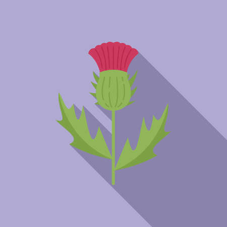 Cirsium thistle icon flat vector. Flower milk. Scotland plantのイラスト素材