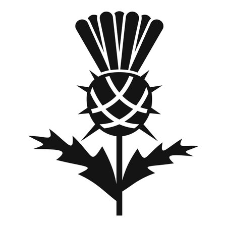 Burdock thistle icon simple vector. Milk plant. Cirsium stemのイラスト素材