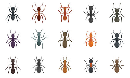 Ant icons set. Flat set of ant vector icons for web design isolatedのイラスト素材