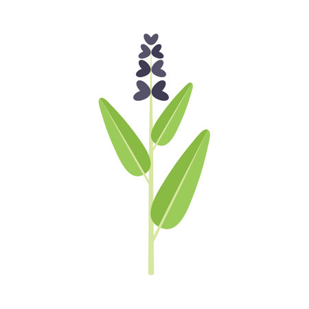Sage flower icon flat vector. Herb plant. Herbal witch isolatedのイラスト素材