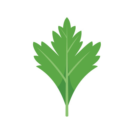 Parsley herb icon flat vector. Leaf plant. Garnish dill isolatedのイラスト素材