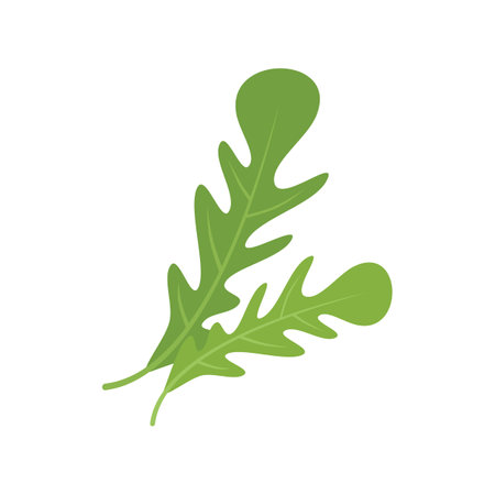 Ruccola food icon flat vector. Arugula leaf. Vegetable plant isolatedのイラスト素材