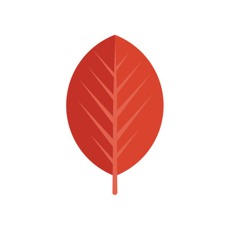 Red leaf icon flat vector. September plant. Oak tree isolatedのイラスト素材