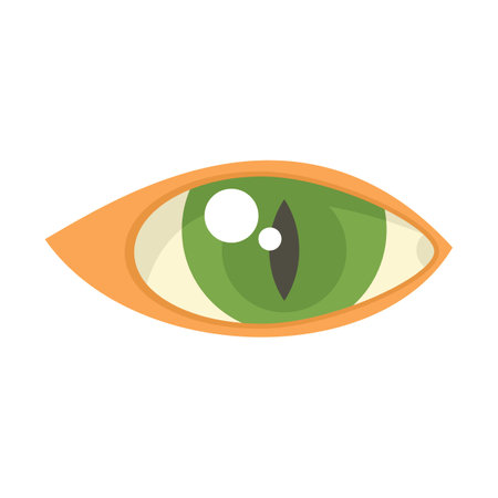 Eye sight icon flat vector. Look view. Vision shape isolatedのイラスト素材