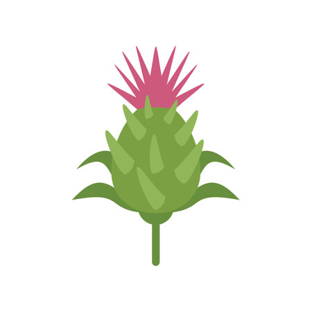 Thistle flower icon flat vector. Silymarin plant. Milk scottish isolatedのイラスト素材