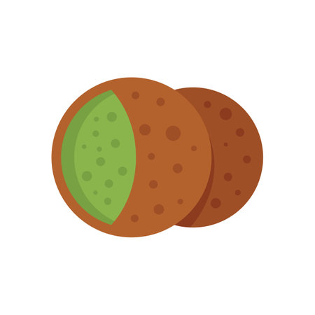 Vegan falafel icon flat vector. Pita cooking. Celebration nutrition isolatedのイラスト素材