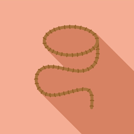 Frame lasso icon flat vector. Rope knot. Rodeo stringのイラスト素材