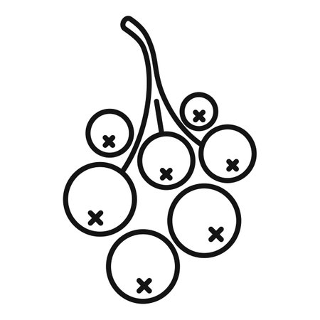 Rowan fall icon. Outline Rowan fall icon for web design isolated on white backgroundの写真素材