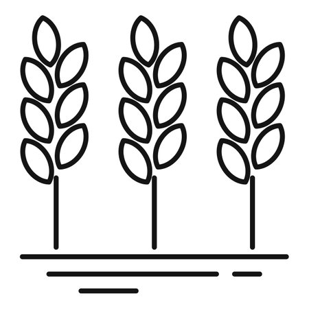 Farm wheat icon. Outline farm wheat icon for web design isolated on white backgroundの写真素材