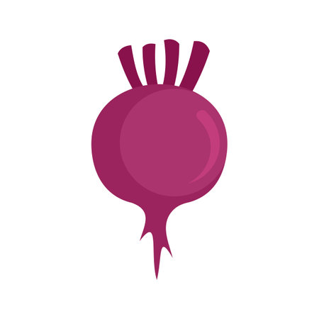 Diet beet icon. Flat illustration of diet beet icon isolated on white backgroundの写真素材