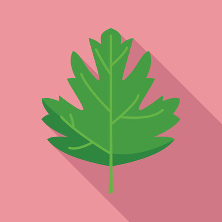 Parsley garnish icon flat . Herb plant. Leaf biteの写真素材