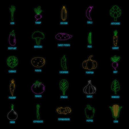 Vegetables icons set. Outline illustration of 25 vegetables vector icons neon color on blackのイラスト素材
