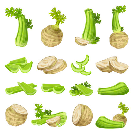 Celery icons set cartoon vector. Food healthy stalk. Eat fresh dietのイラスト素材