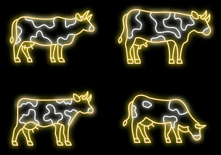 Farm cow icons set. Outline set of farm cow vector icons neon color on blackのイラスト素材