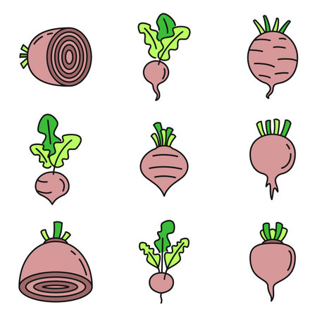 Beet food icons set. Outline set of beet food vector icons thin line color flat on whiteのイラスト素材