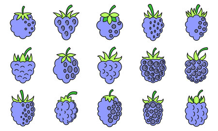 Raw blackberry icons set. Outline set of raw blackberry vector icons thin line color flat on whiteのイラスト素材