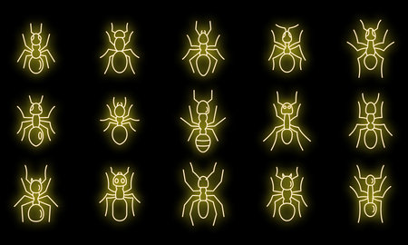 Wild ant icons set. Outline set of Wild ant vector icons neon color on blackのイラスト素材